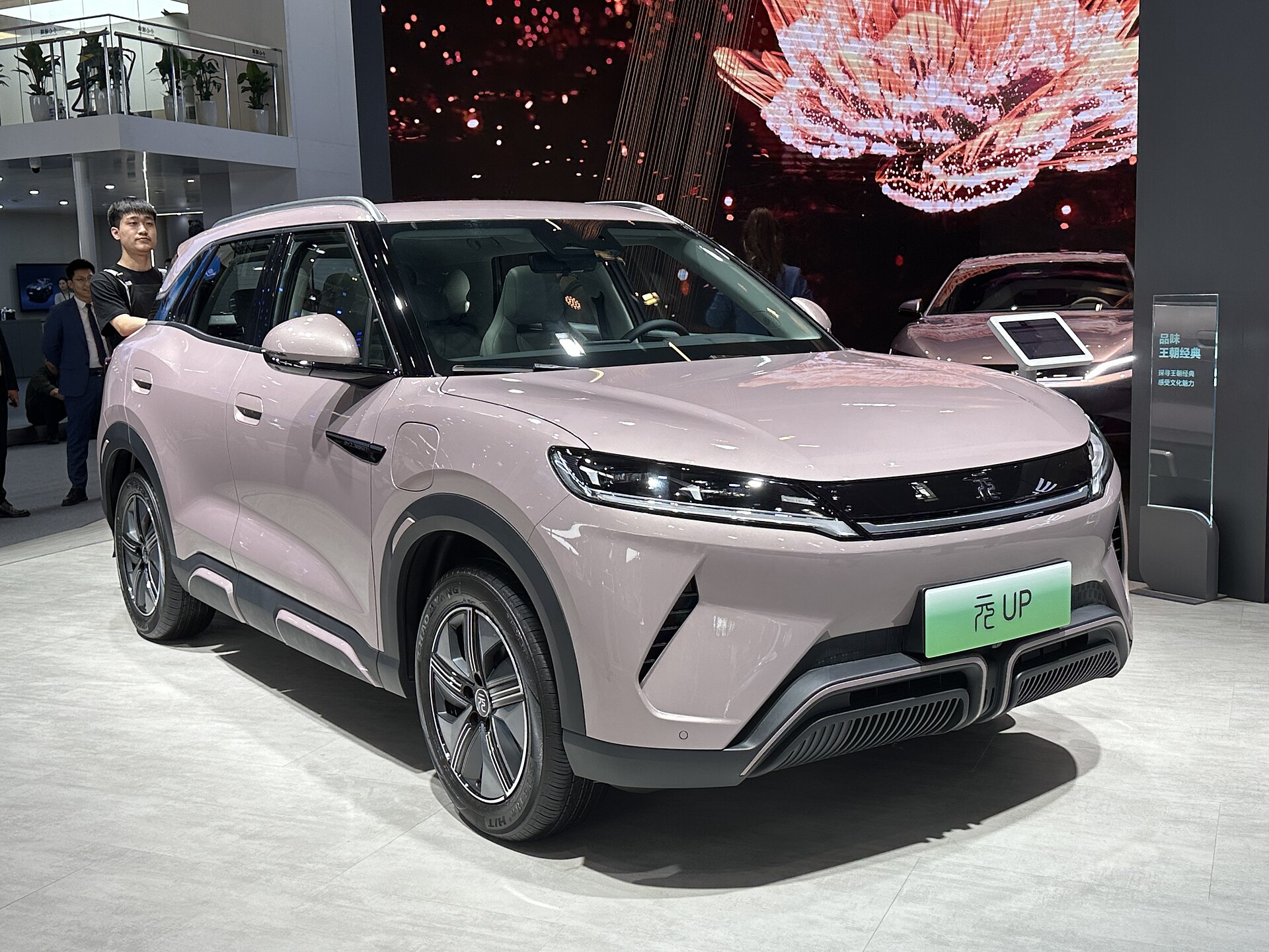 BYD YUAN PRO